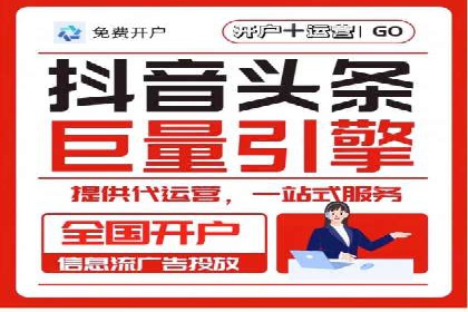 竞价广告的投放策略与效果评估——以一成功企业为例